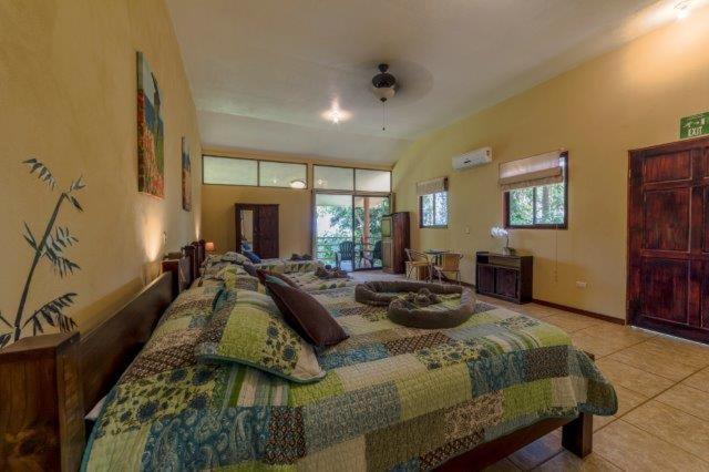Hotel Jinetes De Osa Drake Bay Ngoại thất bức ảnh