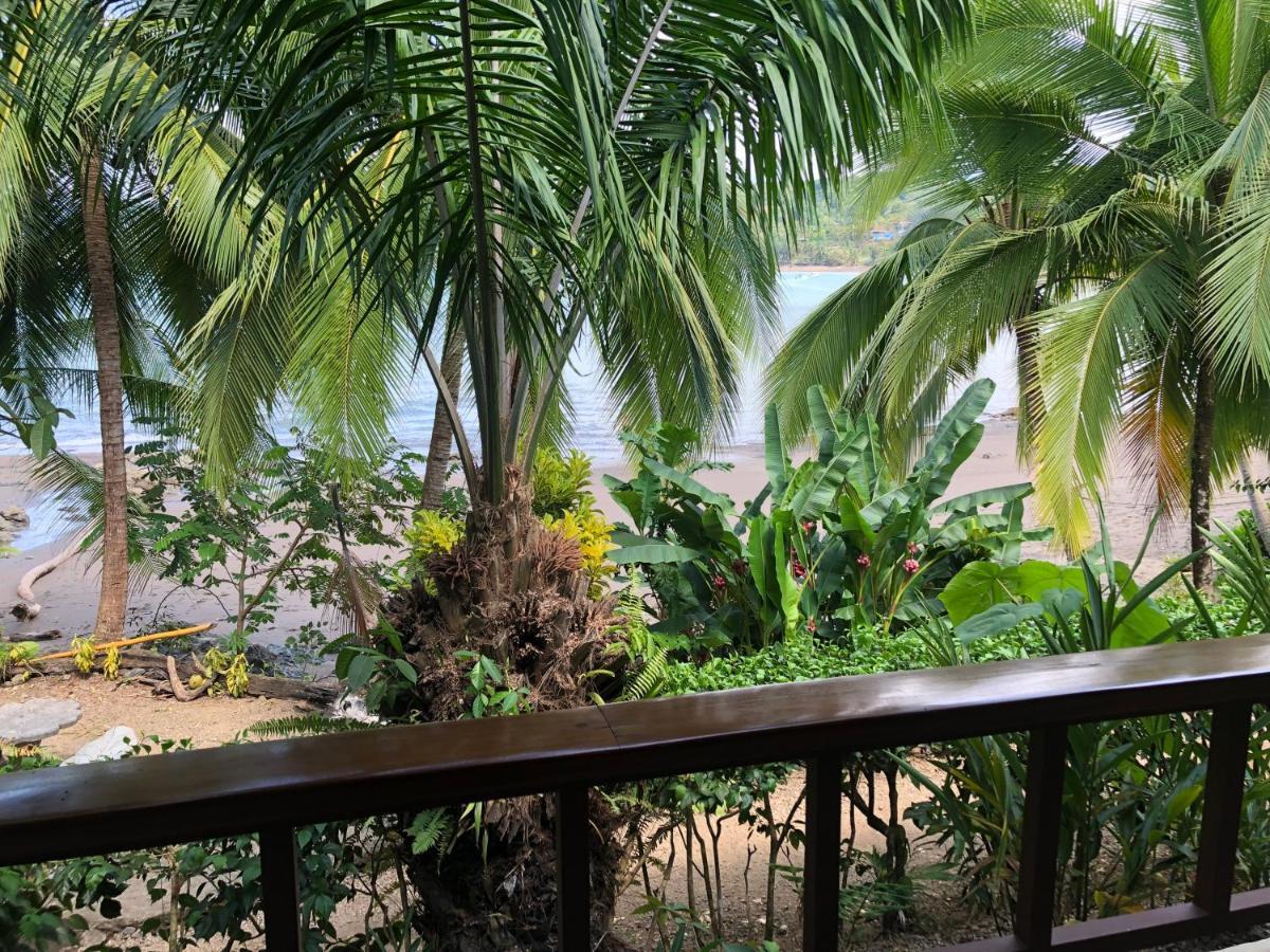 Hotel Jinetes De Osa Drake Bay Ngoại thất bức ảnh