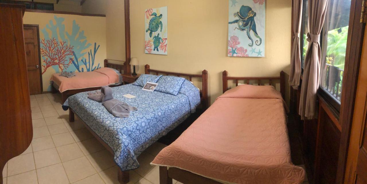 Hotel Jinetes De Osa Drake Bay Ngoại thất bức ảnh
